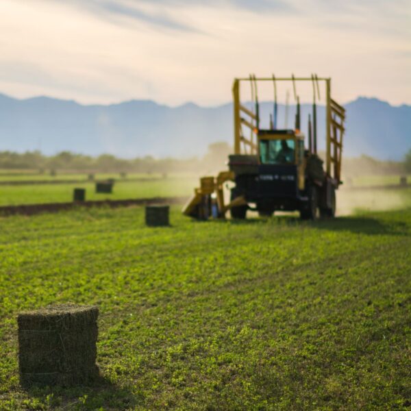 baler on field
