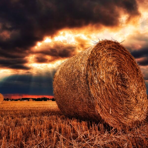round hay bale at sunset