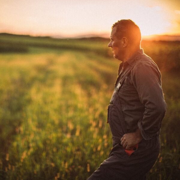 farmer in field at sunset