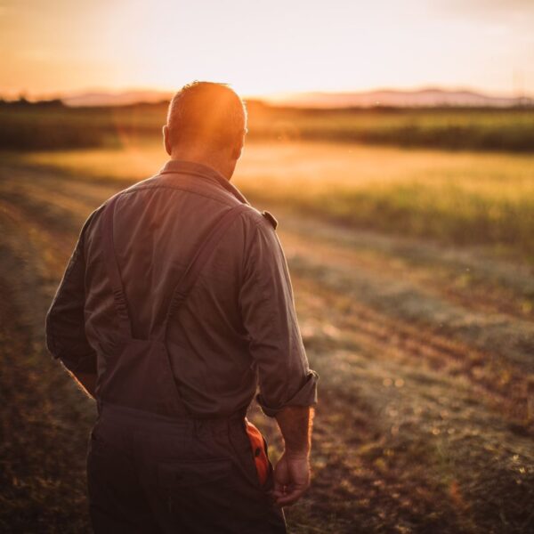 farmer in sunrise