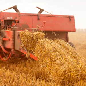 Hay bales