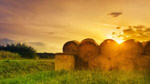 Hay bales stacked against a sunset.