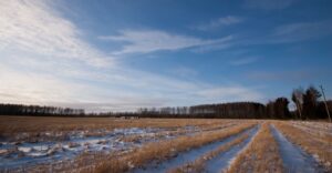 cold weather on farm