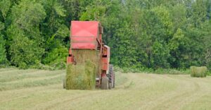 baling hay