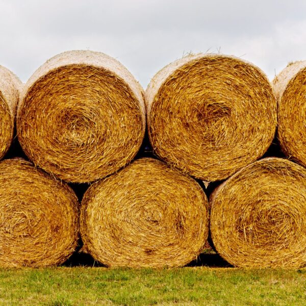 bales of hay