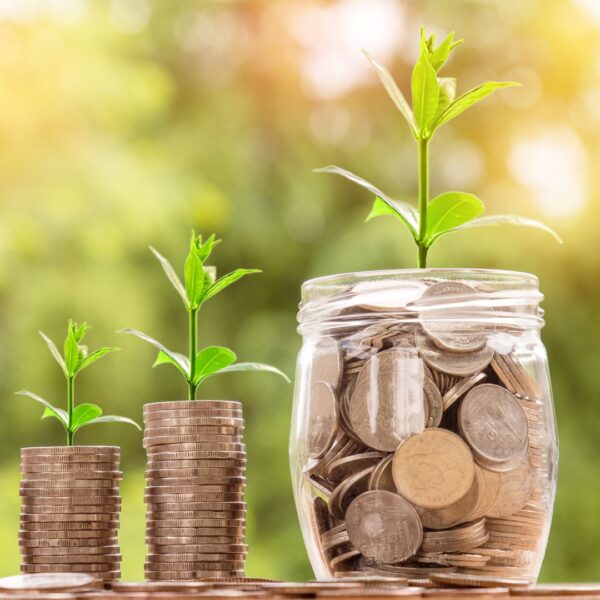 Jar full of change with a plant growing out of it