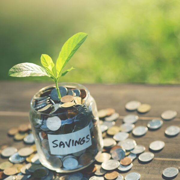 Jar full of coins with a plant growing out of it