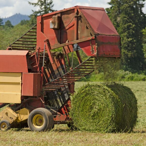 Red baler creating a hay bale