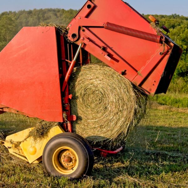 large bale