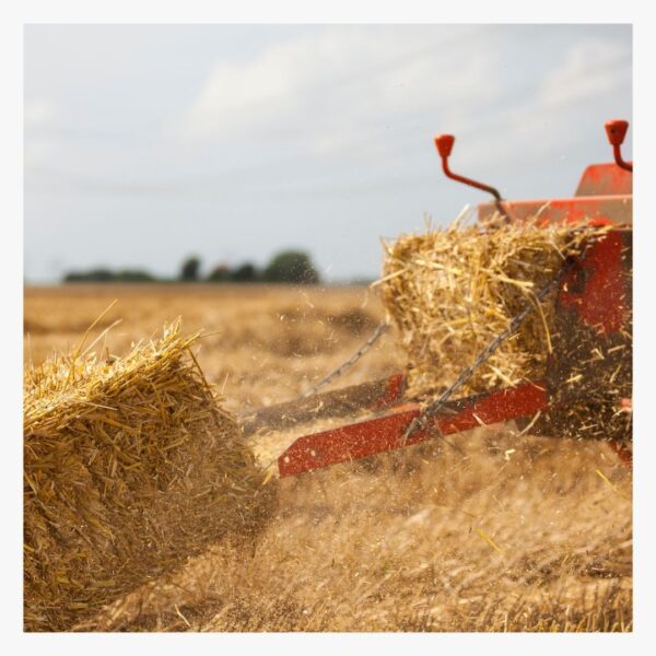 Hay bale and hay baler