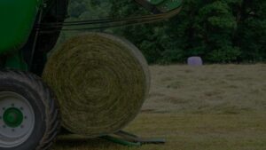 Bale of hay and hay baler