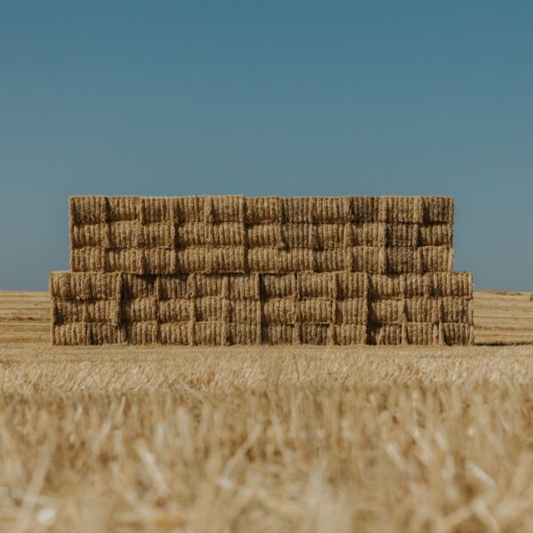 stacked bales in field