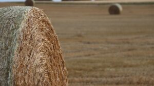 hay bale