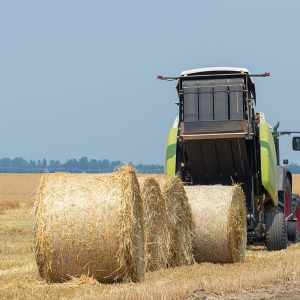 hay baler with hay barrels 