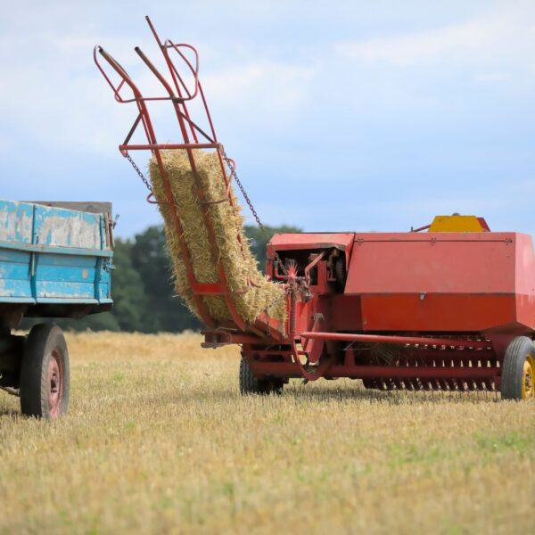 A red square baler with a high-reaching bale chute stands in a field next to a blue transport wagon.