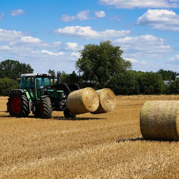 A green tractor uses a front-mounted bale spear to lift two round hay bales in a sunny, harvested field.