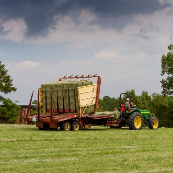 A green tractor pulls a large red trailer loaded with a massive stack of green hay bales across a pasture.