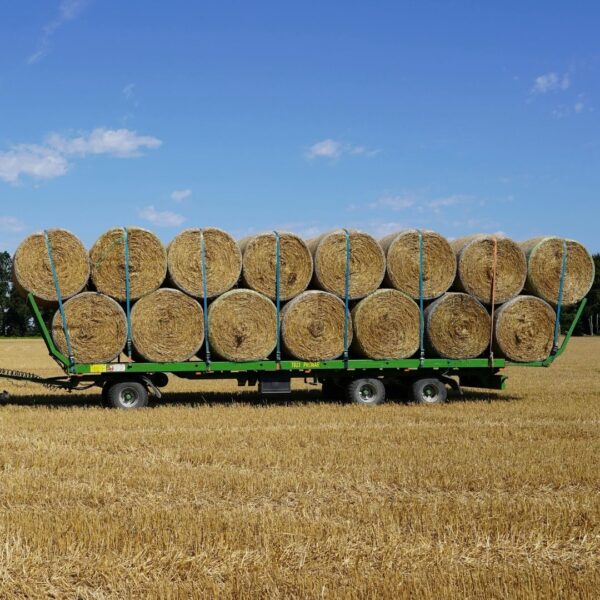 A large flatbed trailer stacked with two rows of round hay bales secured by blue straps in a golden field.