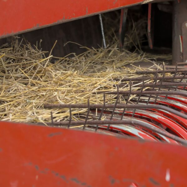 A close-up view of the mechanical intake of a red hay baler processing dry straw.