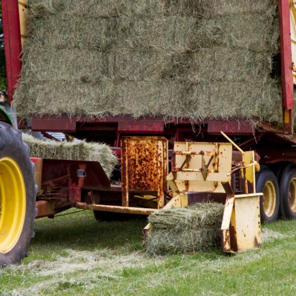 A vintage-style mechanical hay baler ejecting a freshly compressed square bale of green hay.