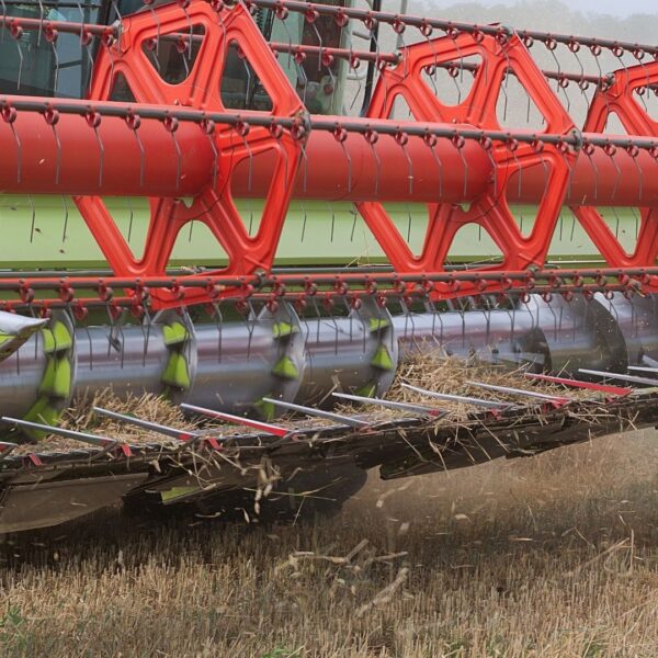A close-up of a modern combine harvester's red and silver reel cutting through a field of dry wheat.