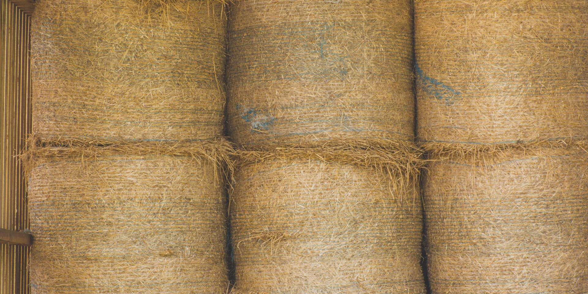 A Comprehensive Guide to Our Agriculture Belt Products hero