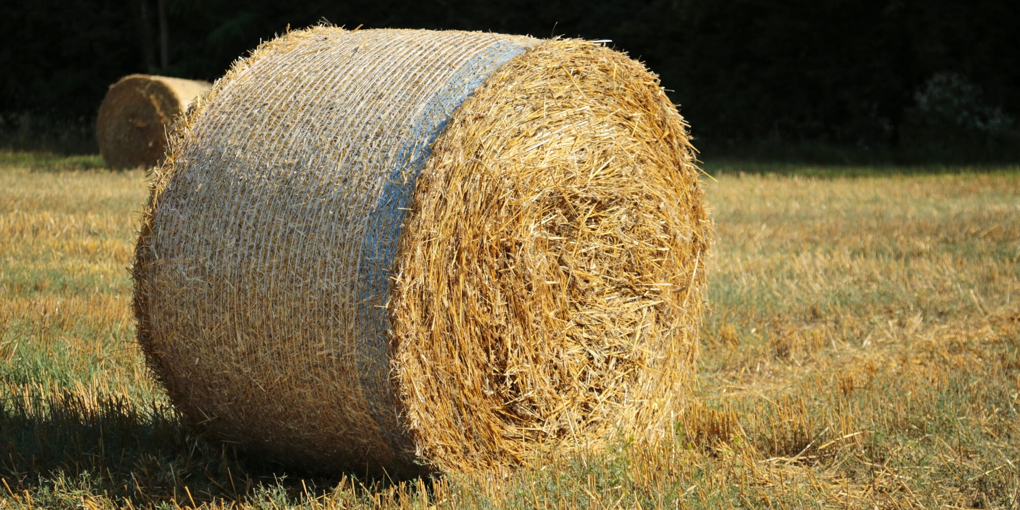Belting Headquarters Quality Meets Affordability in Agricultural Belts - Hero