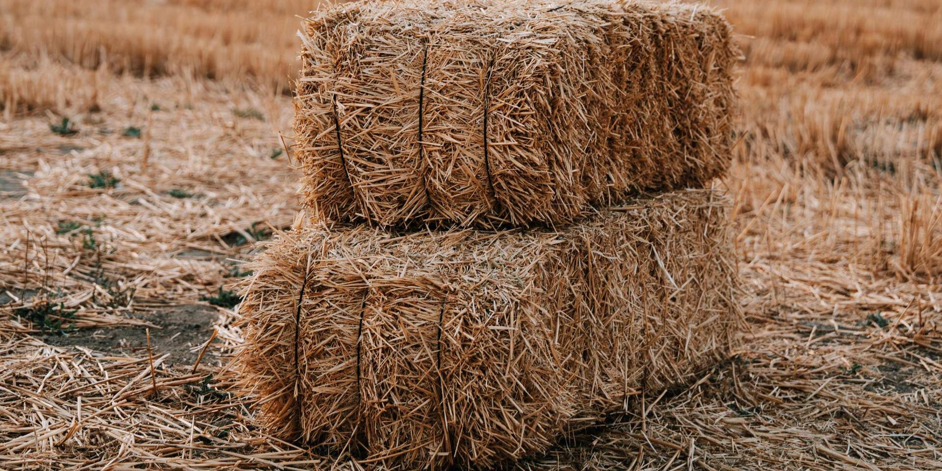 Customizing Your Baler Belts