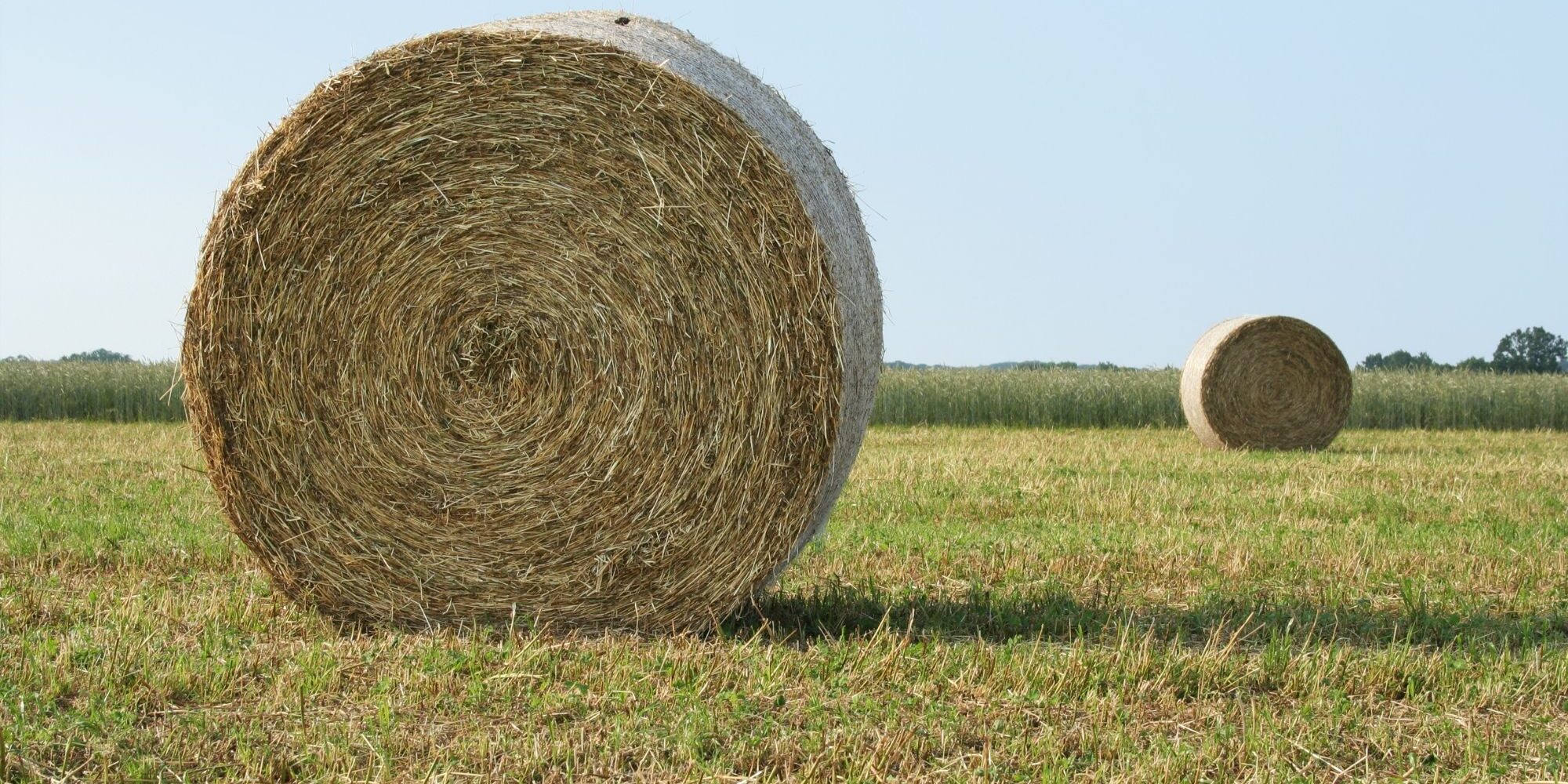 Extending the Life of Your Round Baler Belt - Hero