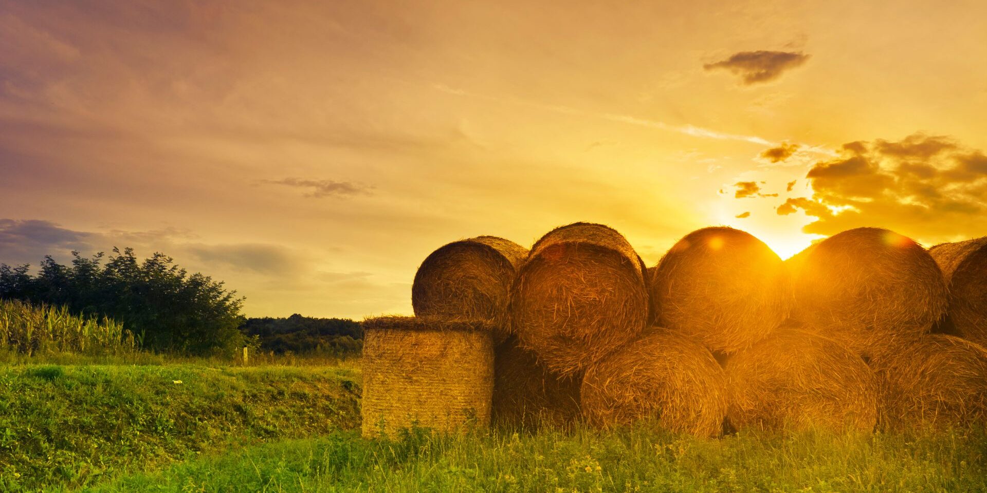 How Belting Headquarters Redefines Farm Equipment Solutions - Featured Image