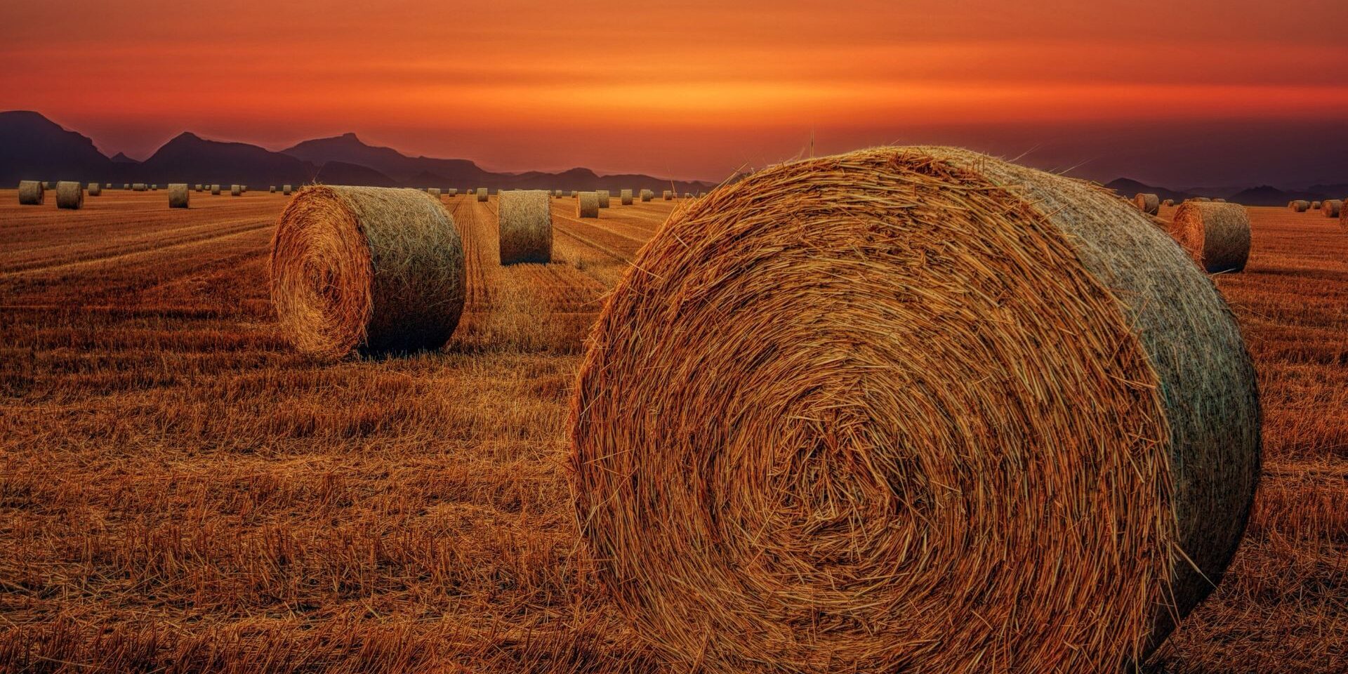 Hay bales against a sunset.