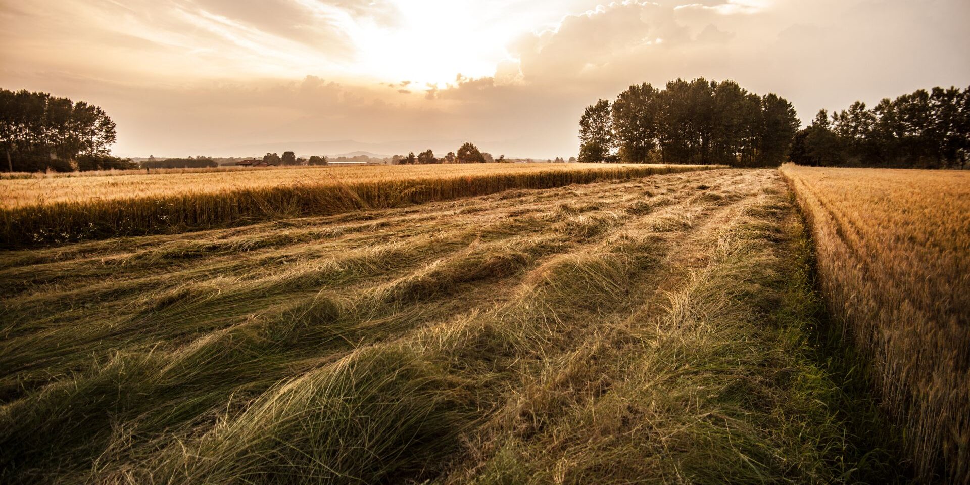The Environmental Impact of Quality Baler Belts