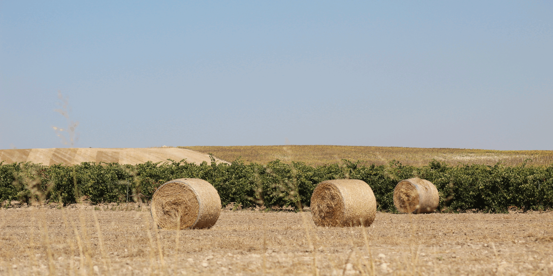 The Role of Baler Belts in Efficient Crop Harvesting