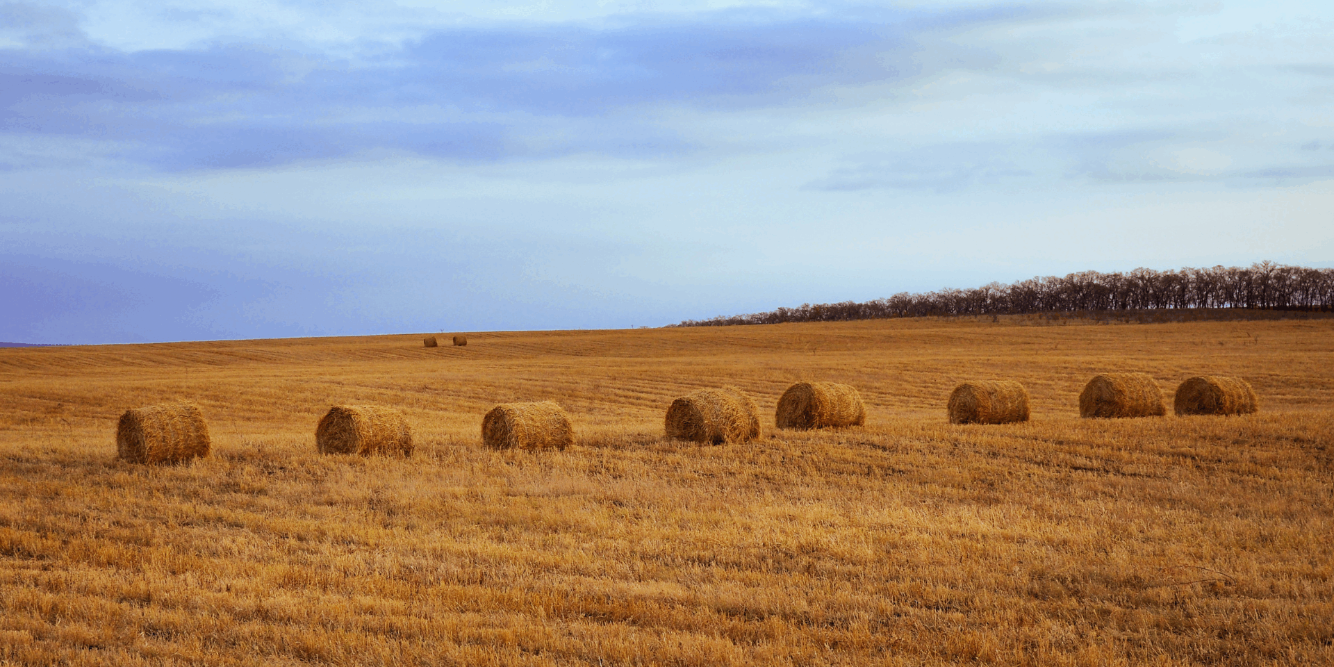 Understanding Baler Belts